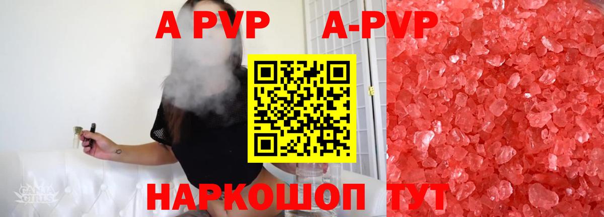 Alfa_PVP СК Сочи