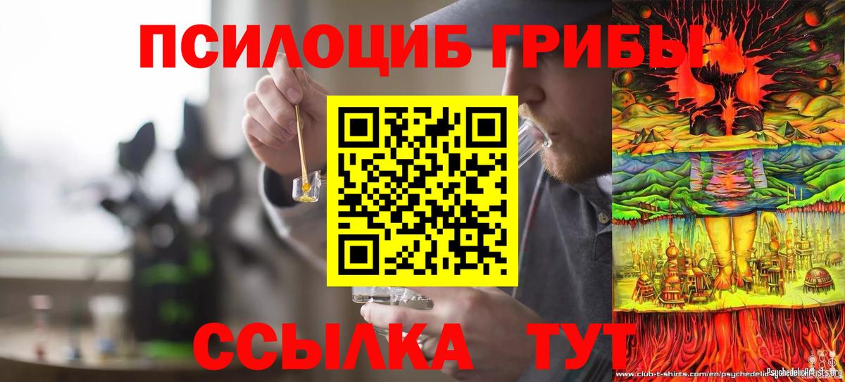 Сочи  как найти закладки  Вход с VPN  Псилоцибиновые грибы Cubensis 